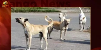 Telangana Stray Dog Attack Leaves 2 Children Injured,Telangana Stray Dog Attack,Dog Attack Leaves 2 Children Injured,Stray Dog Attack Leaves 2 Injured,Children Injured,Dog Attack Leaves Children Injured,Mango News,Telangana Stray Dog,Telangana Stray Dog Attack Latest News,Telangana Stray Dog Attack Latest Updates,Telangana Stray Dog Attack Live News,Stray Dog Attack News Today,Stray Dog Attack Latest News,Hyderabad News,Telangana News,Telangana Latest News And Updates