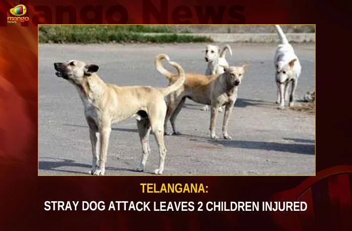 Telangana--Stray-Dog-Attack-Leaves-2-Children-Injured Telangana Stray Dog Attack Leaves 2 Children Injured,Telangana Stray Dog Attack,Dog Attack Leaves 2 Children Injured,Stray Dog Attack Leaves 2 Injured,Children Injured,Dog Attack Leaves Children Injured,Mango News,Telangana Stray Dog,Telangana Stray Dog Attack Latest News,Telangana Stray Dog Attack Latest Updates,Telangana Stray Dog Attack Live News,Stray Dog Attack News Today,Stray Dog Attack Latest News,Hyderabad News,Telangana News,Telangana Latest News And Updates