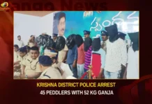 Krishna District Police Arrest 45 Peddlers With 52 Kg Ganja,Krishna District Police Arrest 45 Peddlers,45 Peddlers With 52 Kg Ganja,Krishna District Police,Police Arrest 45 Peddlers,Peddlers With 52 Kg Ganja,Mango News,Krishna cops nabbed 45 Ganja smugglers,Krishna District Police Latest News,Krishna District Police Latest Updates,Krishna District Police Live News,Police Arrest 45 Peddlers News Today,Peddlers With Ganja Latest News,Peddlers With Ganja Latest Updates,Peddlers With Ganja Live News,Krishna District Live Updates