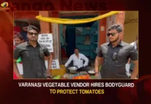Varanasi Vegetable Vendor Hires Bodyguard To Protect Tomatoes,Varanasi Vegetable Vendor,Vegetable Vendor Hires Bodyguard,Bodyguard To Protect Tomatoes,Protect Tomatoes,Mango News,Amid Soaring Prices,Vegetable Vendor Hires Bouncers,Samajwadi Party worker hires bouncers,Team of Bodyguard to protect Tomatoes,Tomato turmoil,Tomato Price Hike,Vegetable seller in Varanasi,Varanasi Vegetable Vendor Latest News,Varanasi Vegetable Vendor Latest Updates,Varanasi Vegetable Vendor Live News