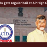 CBN, TDP, Naidu gets Bail, Bail, AP High Court