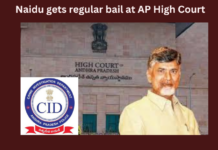CBN, TDP, Naidu gets Bail, Bail, AP High Court