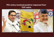 PKs Entry Received Positive Response From TDP Cadre,PKs Entry Received Positive,Positive response from TDP cadre,PKs Entry Response From TDP,TDP, Telugu Desam, Prasanth Kishor, PK, Naidu, Lokesh,Mango News,Poll strategist Prasanth Kishore,Chief Nara Chandrababu Naidu,PKs Entry Response Latest News,Janasena Chief Pawan Kalyan,AP Politics,AP Latest Political News,Andhra Pradesh Latest News,Andhra Pradesh News,Andhra Pradesh News and Live Updates