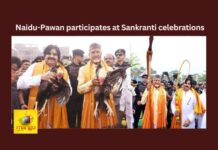 Pawan Naidu participates in Sankranti celebrations,Pawan Naidu participates in Sankranti,Sankranti celebrations,Pawan Naidu in Sankranti celebrations,Pawan Kalyan, Janasena, TDP, CHandrababu, Naidu, CBN, PSPK, Sankranti,Mango News, TDP Supremo N Chandrababu Naidu,Pawan Kalyan And Chandrababu Naidu ,Pawan Naidu in Bhogi Celebrations,Guntur district Latest News,Guntur Live Updates,Sankranti Celebrations Latest News,Sankranti Celebrations Live Updates