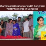 Sharmila decides to work with Congress YSRTP to merge in Congress,Sharmila decides to work with Congress,YSRTP to merge in Congress,YS Sharmila, YSRTP, YSRCP, YS Jagan,Mango News,Telangana Party chief YS Sharmila,YSRTP Latest News,YSRTP Latest Updates,Sharmila Latest News,Sharmila Latest Updates,AP Politics,AP Latest Political News,Andhra Pradesh Latest News,Andhra Pradesh News,Andhra Pradesh News and Live Updates