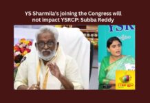 YS Sharmilas joining the Congress will not Impact YSRCP Subba Reddy,YS Sharmilas joining the Congress,It Will not impact YSRCP,Subba Reddy,Subba Reddy on YS Sharmilas joining,YS Sharmila, YSRTP, YSRCP,Jagans sister Sharmila set to join,Babai Reacts To Rumours, YS Jagan,Mango News,Jagans sister Sharmila,YS Sharmila Latest News,YS Sharmila Latest Updates,Subba Reddy Latest News ,Subba Reddy Latest Updates