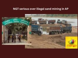 AP Government, Illegal, Sand Mining, Sand, River, Pollution,MEFCI,Vijayawada,Environmental Clearances,illegal sand mining,Supreme Court,National Green Tribunal,Prakasam,Kadapa District,Mango News