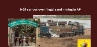 AP Government, Illegal, Sand Mining, Sand, River, Pollution,MEFCI,Vijayawada,Environmental Clearances,illegal sand mining,Supreme Court,National Green Tribunal,Prakasam,Kadapa District,Mango News