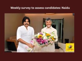 Telugu Desam ,TDP, Chandrababu Naidu, Pawan Kalyan, Jana Sena,Weekly survey,Assembly elections,Andhra Pradesh News Updates, AP Political News, AP Latest news and Updates, AP Politics, AP Elections,andhra pradesh,AP Political updates,Mango News