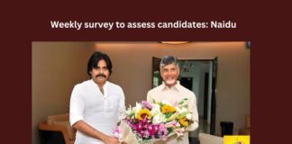 Telugu Desam ,TDP, Chandrababu Naidu, Pawan Kalyan, Jana Sena,Weekly survey,Assembly elections,Andhra Pradesh News Updates, AP Political News, AP Latest news and Updates, AP Politics, AP Elections,andhra pradesh,AP Political updates,Mango News