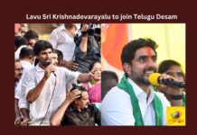 Lavu Krishnadevarayalu, Lavu, Vignan, Guntur, Narasaraopet, TDP, Nara Chandrababu Naidu,YSRCP,Telangana,Andhra Pradesh News Updates, AP Political News, AP Latest news and Updates, AP Politics, AP Elections,Mango News