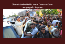 Chandrababu Naidu Leads Door-to-Door Campaign in Kuppam, Door to Door Campaign, Chandrababu Naidu Campaign in Kuppam, Campaign in Kuppam, Kuppam Door to Door Campaign, Chandrababu Naidu, CBN, Bring Babu Back, AP, Telangana, Elections, YS Jagan, AP Live Updates, Andhra Pradesh, Political News, Mango News
