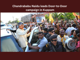 Chandrababu Naidu Leads Door-to-Door Campaign in Kuppam, Door to Door Campaign, Chandrababu Naidu Campaign in Kuppam, Campaign in Kuppam, Kuppam Door to Door Campaign, Chandrababu Naidu, CBN, Bring Babu Back, AP, Telangana, Elections, YS Jagan, AP Live Updates, Andhra Pradesh, Political News, Mango News