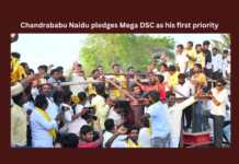 Chandrababu Naidu Pledges Mega DSC As His First Priority, Chandrababu Naidu Pledges Mega DSC, Mega DSC As His First Priority, DSC First Priority, Mega DSC, Mega DSC Jobs, Kuppam Door to Door Campaign, CBN, Chandrababu, Volunteers, Lok Sabha Elections, YS Jagan, AP Live Updates, Andhra Pradesh, Political News, Mango News