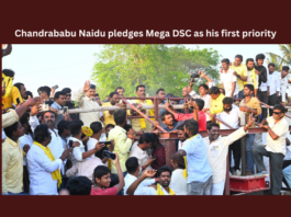 Chandrababu Naidu Pledges Mega DSC As His First Priority, Chandrababu Naidu Pledges Mega DSC, Mega DSC As His First Priority, DSC First Priority, Mega DSC, Mega DSC Jobs, Kuppam Door to Door Campaign, CBN, Chandrababu, Volunteers, Lok Sabha Elections, YS Jagan, AP Live Updates, Andhra Pradesh, Political News, Mango News