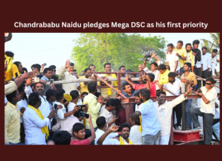 Chandrababu Naidu Pledges Mega DSC As His First Priority, Chandrababu Naidu Pledges Mega DSC, Mega DSC As His First Priority, DSC First Priority, Mega DSC, Mega DSC Jobs, Kuppam Door to Door Campaign, CBN, Chandrababu, Volunteers, Lok Sabha Elections, YS Jagan, AP Live Updates, Andhra Pradesh, Political News, Mango News