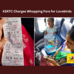 KSRTC Charges Whopping Fare For Lovebirds