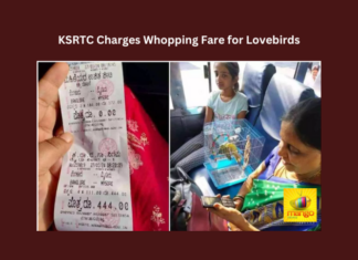 KSRTC Charges Whopping Fare For Lovebirds