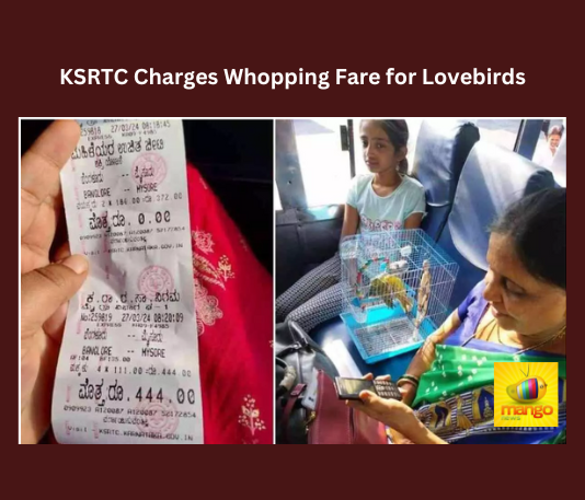 KSRTC Charges Whopping Fare For Lovebirds