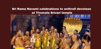 Sri Rama Navami Celebrations to Enthrall Devotees at Tirumala Srivari Temple, Sri Rama Navami Celebrations, Enthrall Devotees at Tirumala Srivari Temple, Tirumala Srivari Temple, Tirumala Sri Rama Navami Celebrations, Tirumala, Tirupati, Sri Rama Navami, Festival, Rama, Yedu kondalu, Thirupathi News, AP Live Updates, Andhra Pradesh, Mango News