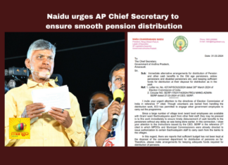 Naidu Urges AP Chief Secretary To Ensure Smooth Pension Distribution, Naidu Urges AP Chief Secretary, Smooth Pension Distribution, AP Chief Secretary, Pension Distribution, TDP, Naidu, Pensions, Telugu Desam, Pension, AP, CM Jagan, Lok Sabha Elections, AP Live Updates, Andhra Pradesh, Political News, Mango News