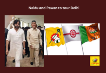 Naidu, Pawan Kalyan, TDP, Jana Sena, BJP, Amit Shah,Lok Sabha seats,assembly seats,NDA,Andhra Pradesh News Updates, AP Political News, AP Latest news and Updates, AP Politics, AP Elections,Mango News