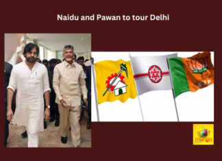 Naidu and Pawan to tour Delhi: Naidu, Pawan Kalyan, TDP, Jana Sena, BJP, Amit Shah,Lok Sabha seats,assembly seats,NDA,Andhra Pradesh News Updates, AP Political News, AP Latest news and Updates, AP Politics, AP Elections,Mango News