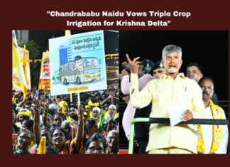 Chandrababu Naidu Vows Triple Crop Irrigation for Krishna Delta,Telugu News,AP State Assembly Elections,Mango News,Andhra Pradesh Elections,Elections 2024,AP Elections 2024,Lok Sabha Polls,AP Polls,AP Politics,AP News,AP Latest News,AP Elections News,AP Elections,AP Assembly Elections 2024,Lok Sabha Elections 2024,TDP,Janasena,Chandrababu Naidu,Pawan Kalyan,AP Political News,Chandrababu Naidu Latest News,Krishna Delta,Nara Lokesh,2024 Elections,Praja Galam,Krishna Delta News,TDP Praja Galam,Telugu Desam