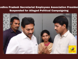 YSRCP, Elections, Campaign, Transfer, Suspension, Employees, JAC