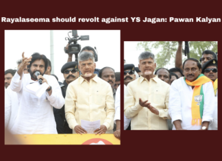 Rayalaseema Should Revolt Against YS Jagan: Pawan Kalyan, Rayalaseema Should Revolt, Rayalaseema Should Revolt Against YS Jagan, Rayalaseema Politics, YS Jagan, TDP, Naidu, Chandrababu, Elections, Pawan Kalyan, Kiran Kumar Reddy, AP, Politics, General Elections, Lok Sabha Elections, AP Live Updates, Andhra Pradesh, Political News, Mango News