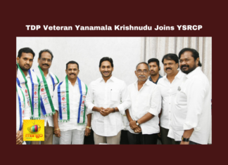 TDP Veteran Yanamala Krishnudu Joins YSRCP, Veteran Yanamala Krishnudu Joins YSRCP, 2024 Elections, AP Politics, Assembly Elections, Janasena, Ramakrishnudu, Telugu Desam, Yanamala, Ys Jagan, YSRCP, Veteran Yanamala Krishnudu Into YSRCP, General Elections, Lok Sabha Elections, AP Live Updates, Andhra Pradesh, Political News, Mango News