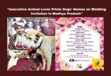 Dog Lover, Animal Love, Madhya Pradesh, India, Innovative, Wedding Cards, Dogs Names