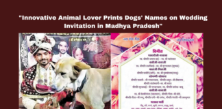 Dog Lover, Animal Love, Madhya Pradesh, India, Innovative, Wedding Cards, Dogs Names