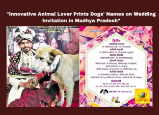"Innovative Animal Lover Prints Dogs' Names on Wedding Invitation in Madhya Pradesh", Innovative Animal Lover Prints Dogs, Dogs Names on Wedding Invitation, Innovative Animal Lover, Animal Lover, Innovative Wedding Invitation, Dog Lover, Animal Love, Madhya Pradesh, India, Innovative, Wedding Cards, Dogs Names, General Elections, Lok Sabha Elections, AP Live Updates, Andhra Pradesh, Political News, Mango News