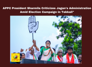 APPC President Sharmila Criticizes Jagan's Administration Amid Election Campaign in Tekkali, APPC President Sharmila Criticizes Jagan, Sharmila Election Campaign in Tekkali, Election Campaign in Tekkali, APPC President Sharmila, Jagan Mohan Reddy, Tekkali, Srikakulam, Election Campaign, Electoral Promises, Governance, Alcohol Prohibition, Social Welfare, General Elections, Lok Sabha Elections, AP Live Updates, Andhra Pradesh, Political News, Mango News