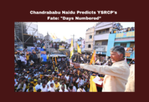 YSRCP, Chandrababu Naidu, Andhra Pradesh politics, TDP, Nandyal district, political rally