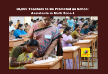 10000 Teachers to Be Promoted as School Assistants in Multi Zone-1, 10000 Teachers, School Assistants in Multi Zone-1, Multi Zone-1, Hyderabad, Teacher Promotions, School Assistants MultiZone1, Education News, Warangal, Andhra Pradesh, CM Chandrababu Naidu, AP Live Updates, AP Politics, Political News, Mango News