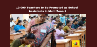 10000 Teachers to Be Promoted as School Assistants in Multi Zone-1, 10000 Teachers, School Assistants in Multi Zone-1, Multi Zone-1, Hyderabad, Teacher Promotions, School Assistants MultiZone1, Education News, Warangal, Andhra Pradesh, CM Chandrababu Naidu, AP Live Updates, AP Politics, Political News, Mango News
