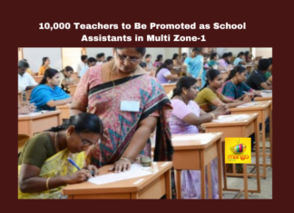10000 Teachers to Be Promoted as School Assistants in Multi Zone-1, 10000 Teachers, School Assistants in Multi Zone-1, Multi Zone-1, Hyderabad, Teacher Promotions, School Assistants MultiZone1, Education News, Warangal, Andhra Pradesh, CM Chandrababu Naidu, AP Live Updates, AP Politics, Political News, Mango News