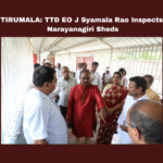 TIRUMALA: TTD EO J Syamala Rao Inspects Narayanagiri Sheds, Syamala Rao Inspects Narayanagiri, Syamala Rao Inspects Tirumala, Tirumala, TTD, J Syamala Rao, Narayanagiri Sheds, Pilgrim Amenities, Darshan, Sanitation, Inspection, Latest Tirumala News, Andhra Pradesh, CM Chandrababu Naidu, AP Live Updates, AP Politics, Political News, Mango News