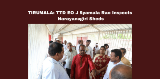 TIRUMALA: TTD EO J Syamala Rao Inspects Narayanagiri Sheds, Syamala Rao Inspects Narayanagiri, Syamala Rao Inspects Tirumala, Tirumala, TTD, J Syamala Rao, Narayanagiri Sheds, Pilgrim Amenities, Darshan, Sanitation, Inspection, Latest Tirumala News, Andhra Pradesh, CM Chandrababu Naidu, AP Live Updates, AP Politics, Political News, Mango News