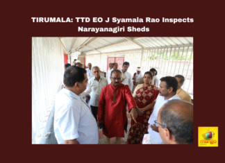 TIRUMALA: TTD EO J Syamala Rao Inspects Narayanagiri Sheds, Syamala Rao Inspects Narayanagiri, Syamala Rao Inspects Tirumala, Tirumala, TTD, J Syamala Rao, Narayanagiri Sheds, Pilgrim Amenities, Darshan, Sanitation, Inspection, Latest Tirumala News, Andhra Pradesh, CM Chandrababu Naidu, AP Live Updates, AP Politics, Political News, Mango News