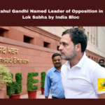 Rahul Gandhi Named Leader Of Opposition In Lok Sabha By India Bloc,Rahul Gandhi Named Leader Of Opposition,Leader Of Opposition In Lok Sabha By India Bloc,India Bloc,Rahul Gandhi Leader Of Opposition,Rahul Gandhi,Lok Sabha, Bhartrihari Mehtab, Congress, K Suresh, Mallikarjun Kharge, Priyanka Gandhi, Rahul Gandhi, Sonia Gandhi, Speaker Election,Live Updates, Politics, Political News,Mango News