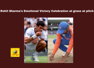 Rohit Sharma'S Emotional Victory Celebration At Grass At Pitch,Rohit Sharma'S Emotional Victory Celebration,Rohit Sharma At Grass At Pitch, cricket celebration, Novak Djokovic, Retirement, Rohit Sharma, T20 World Cup 2024, T20 World Cup,Sachin Tendulkar,Second T20 World Cup, Cricket News, ICC trophy, India Vs South Africa, T20 World Cup 2024, virat kohli,T20 World Cup Winner,T20 World Cup,World Cup,World Cup Winner Prize Money,2024 T20 World Cup Prize Money,2024 T20 World Cup,ICC,Mango News,