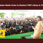 Chandrababu Naidu Vows To Restore TDP's Glory In Telangana,Chandrababu Naidu Vows To Restore TDP's Glory,TDP's Glory In Telangana,Chandrababu Naidu Vows,Restore TDP's Glory In Telangana,Telangana,TDP's Glory,TDP, AndhraPradesh, ChandrababuNaidu,development, NTRTrustBhavan,Hyderabad, PartyLegacy, PoliticalLeadership, TDP Telangana, TelanganaPolitics, TeluguDesamParty, TeluguSociety,Mango News