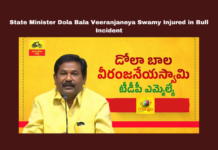 Tanguturu, Dola Bala Veeranjaneya Swamy, Poleramma Kolupu, Bull Incident, Prakasam District