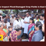 Nidadavolu, East Godavari, Red Canal Flooding, Crop Damage, Minister Inspection, Flood Prevention