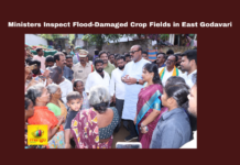 Nidadavolu, East Godavari, Red Canal Flooding, Crop Damage, Minister Inspection, Flood Prevention