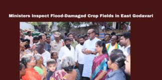 Nidadavolu, East Godavari, Red Canal Flooding, Crop Damage, Minister Inspection, Flood Prevention