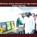 Deputy CM Pawan Kalyan Advocates For Tiger Conservation On Global Tiger Day,Conservation On Global Tiger Day,Deputy CM Pawan Kalyan Advocates For Tiger Conservation ,Deputy CM Pawan Kalyan,Tiger Conservation ,Global Tiger Day,Conservation, Pawan Kalyan, Ecological Balance,Environment, Forest Protection, Global Tiger Day ,AP Live Updates, AP Politics, Political News, Mango News,